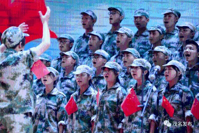 营救小乌龟